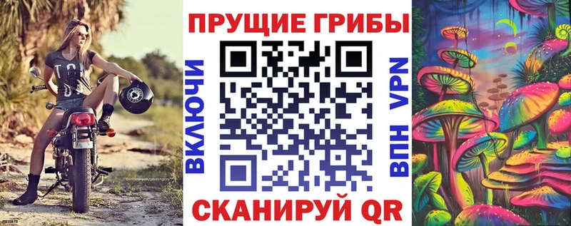 hydra онион  что такое наркотик  Славгород  Псилоцибиновые грибы Psilocybine cubensis 